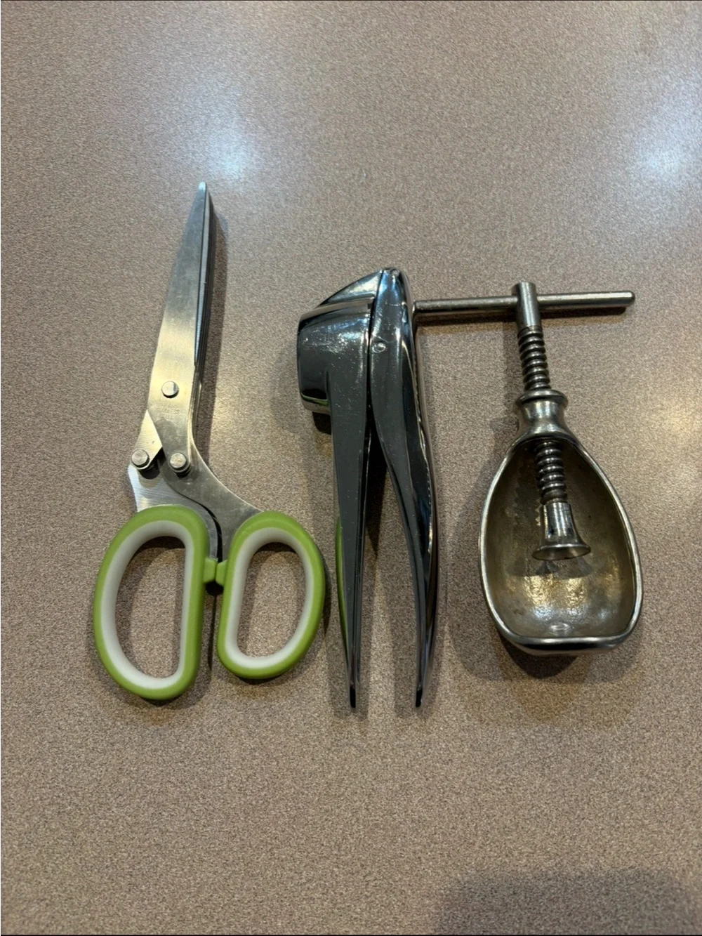 Kitchen Tool Lot: Stainless Steel Garlic Press + Scoop + Green-Handled Scissors